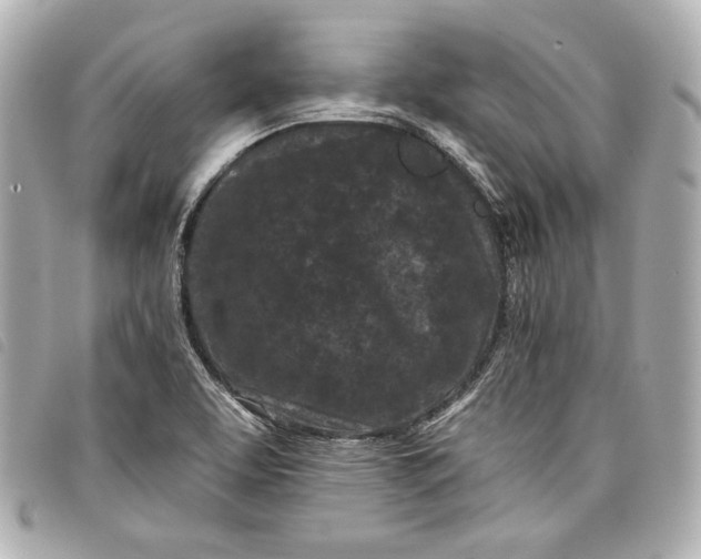 X0000098091463200804181223