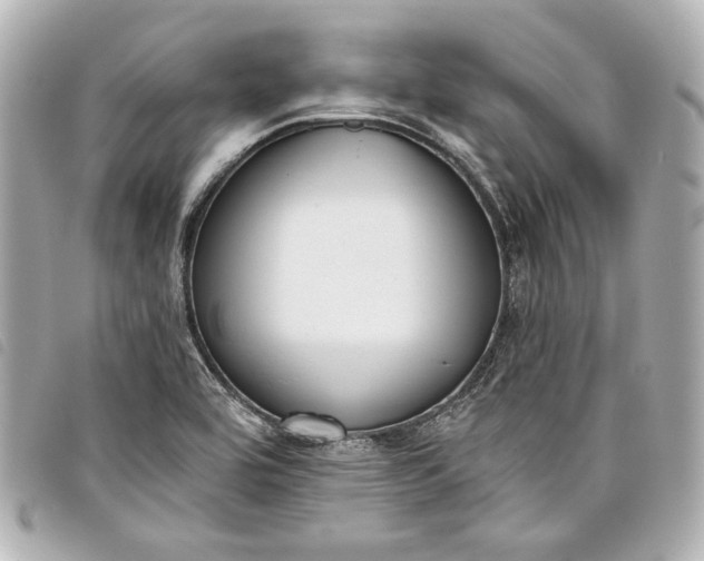 X0000098091464200804181223