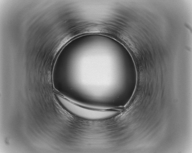 X0000098091465200804181223