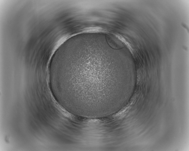 X0000098091467200804181222