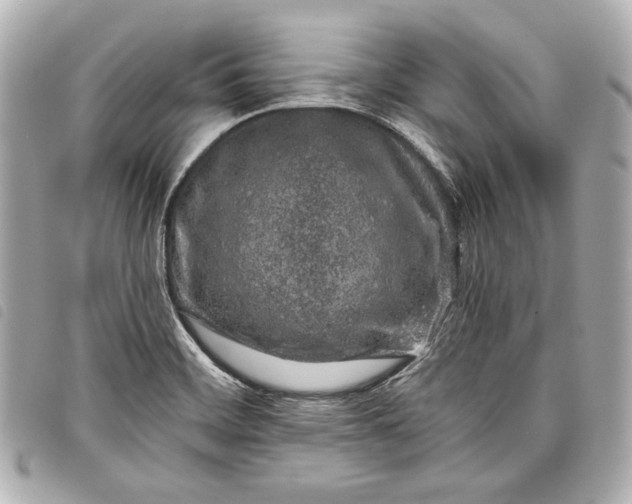 X0000098091468200804181222