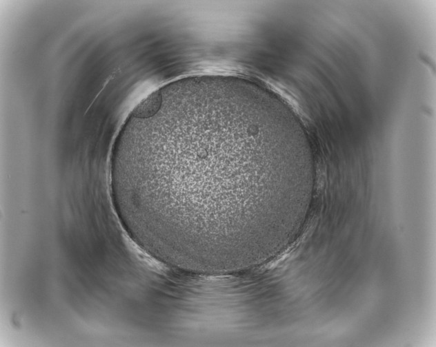 X0000098091471200804181222