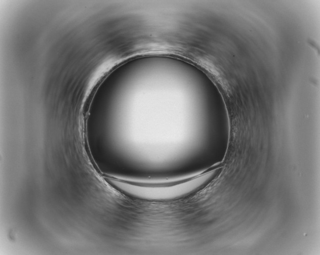 X0000098091472200804181222