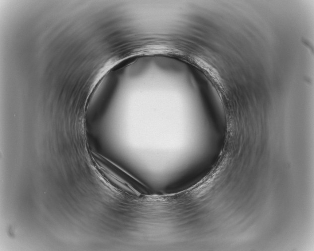 X0000098091473200804181222