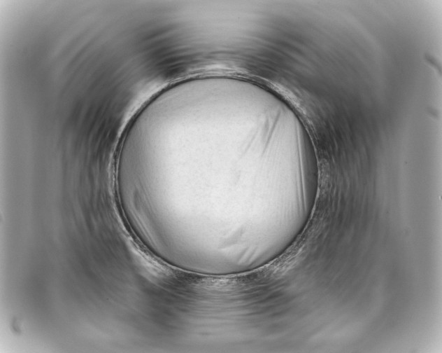 X0000098091474200804181222