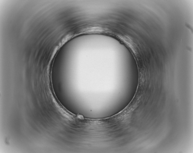 X0000098091475200804181222