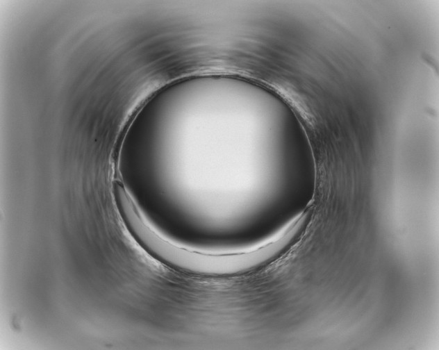 X0000098091476200804181222