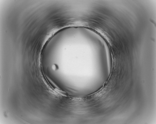 X0000098091477200804181222
