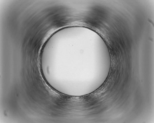 X0000098091478200804181222