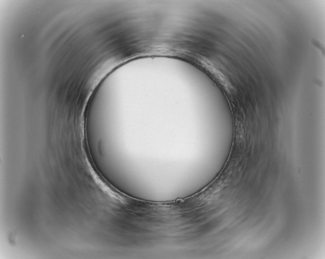 X0000098091479200804181222
