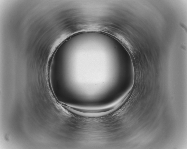 X0000098091480200804181222