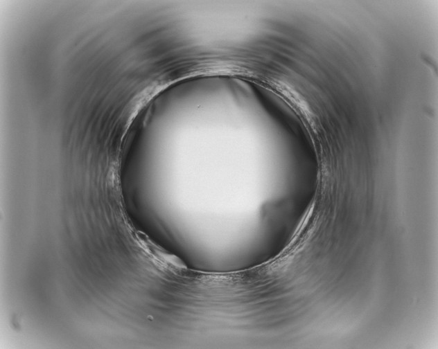 X0000098091481200804181222
