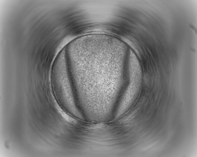 X0000098091482200804181222