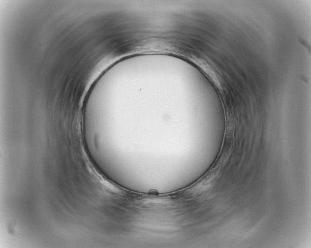 X0000098091486200804181222