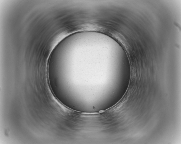 X0000098091487200804181222