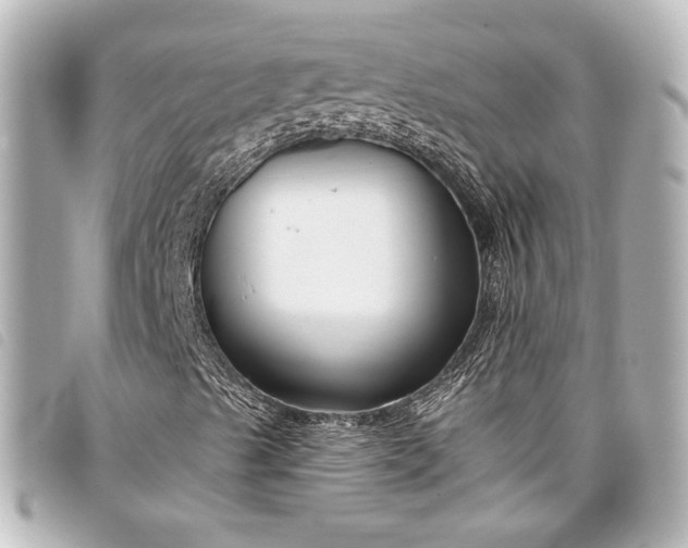 X0000098091489200804181221