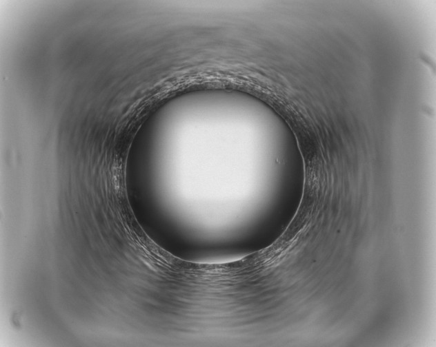 X0000098091490200804181221