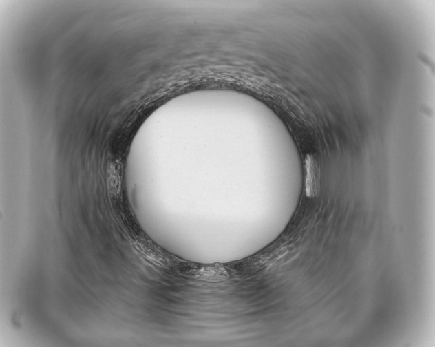 X0000098091491200804181221