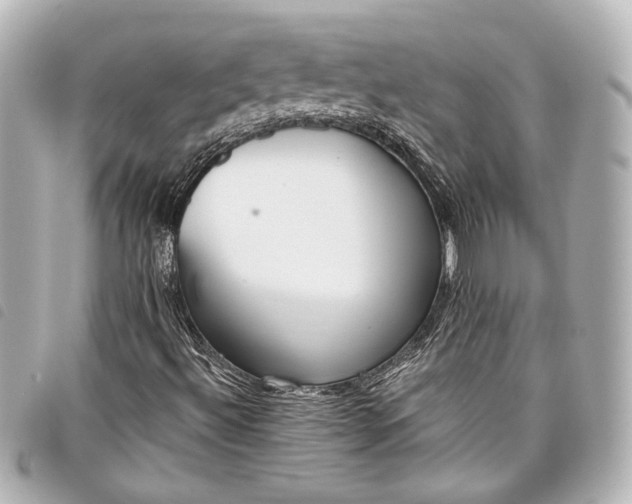X0000098091492200804181221