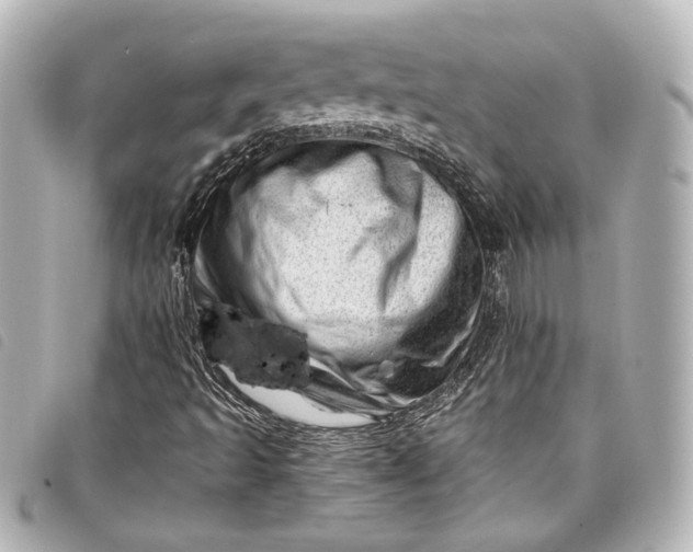 X0000098091493200804181221