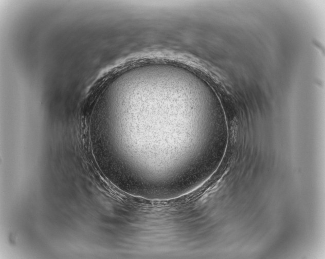 X0000098091494200804181221