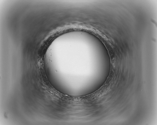 X0000098091495200804181221