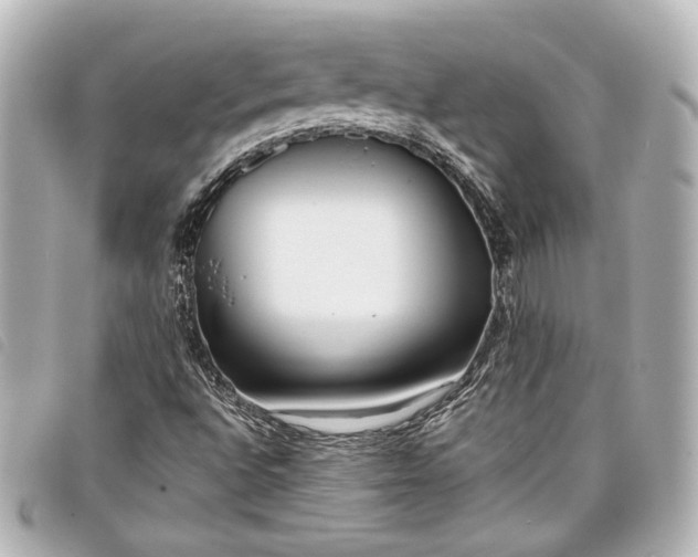 X0000098091496200804181221