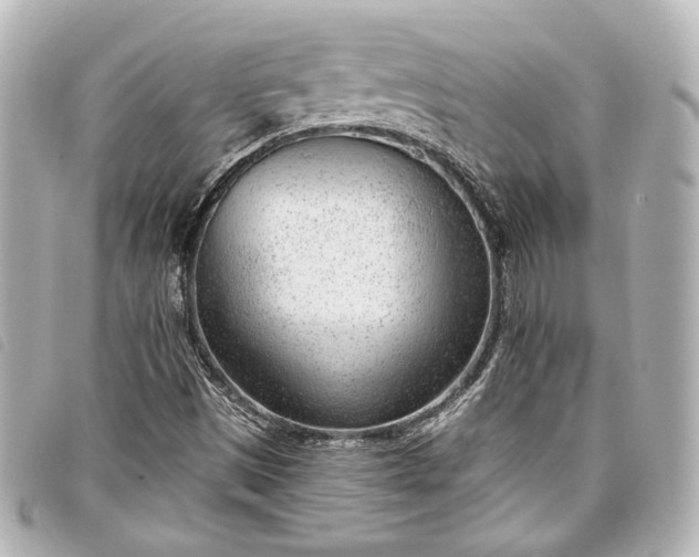 X0000098091497200804181221