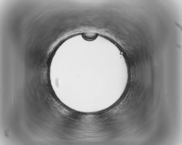 X0000098091502200804181222