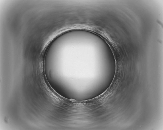 X0000098091504200804181222