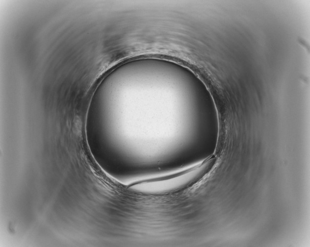 X0000098091505200804181222