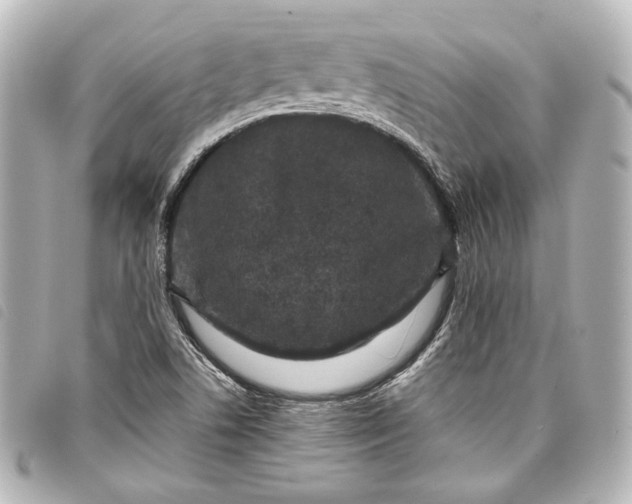 X0000098091506200804181222