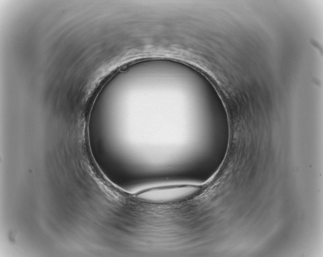 X0000098091507200804181222