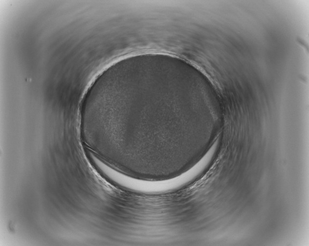 X0000098091508200804181222