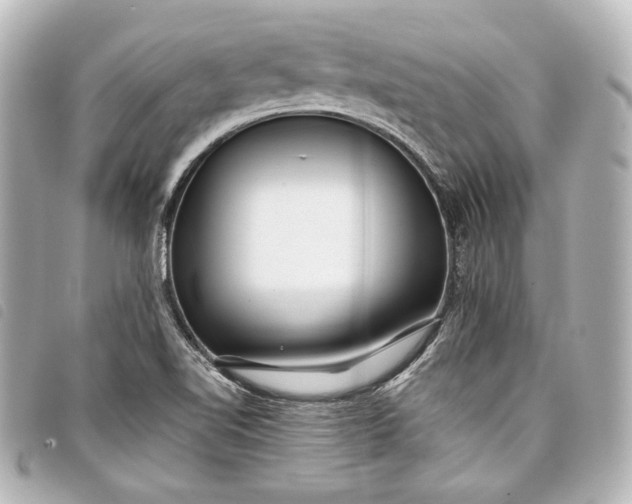 X0000098091510200804181222