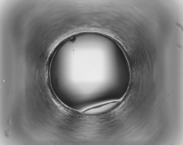 X0000098091511200804181222