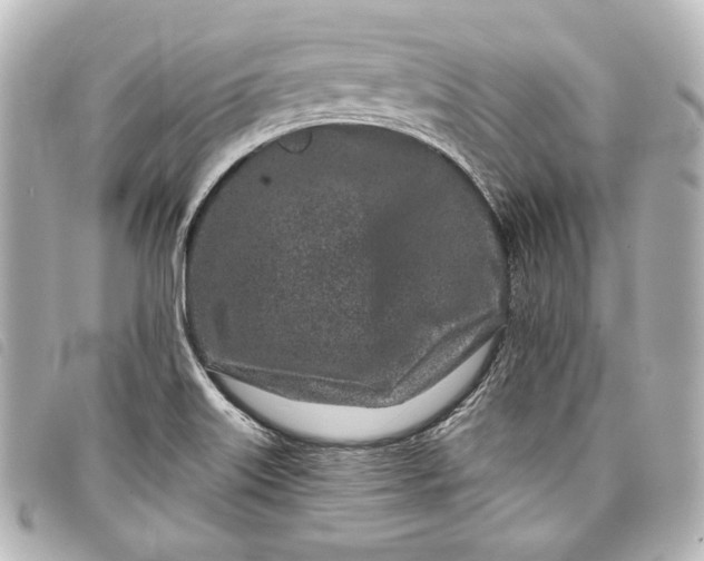 X0000098091515200804181222