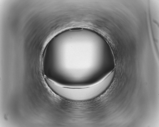 X0000098091520200804181222