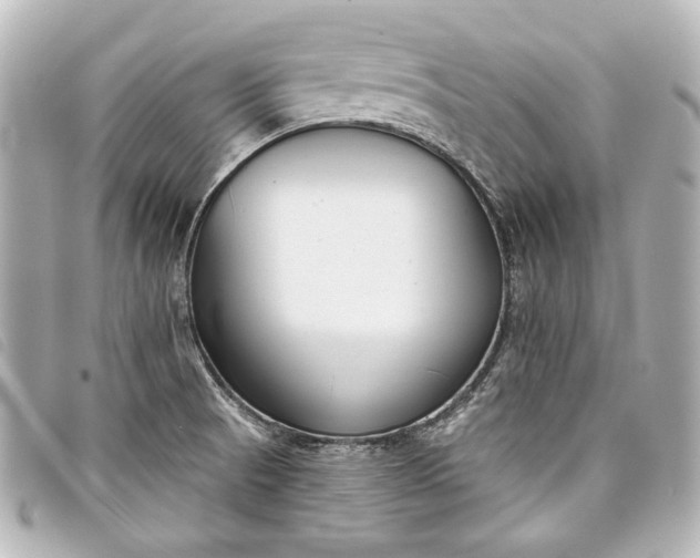 X0000098091521200804181222