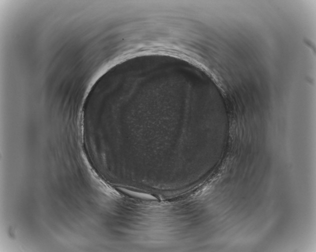 X0000098091522200804181222