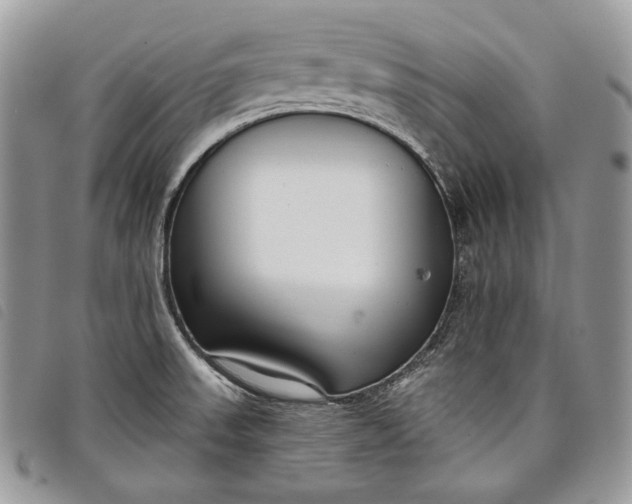 X0000098091523200804181222