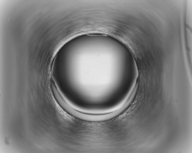X0000098091524200804181222
