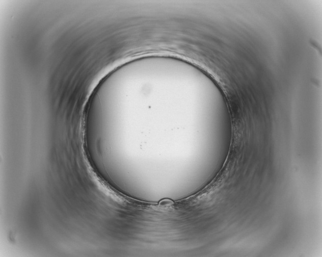 X0000098091526200804181222