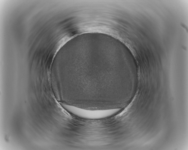 X0000098091529200804181222