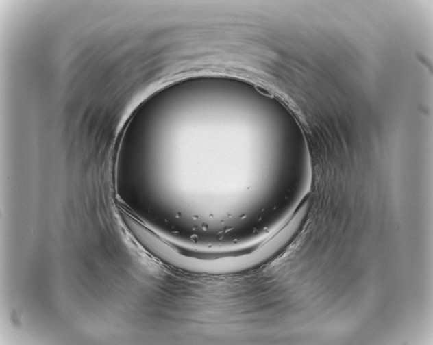 X0000098091530200804181222
