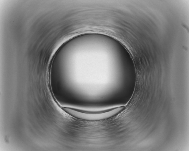 X0000098091531200804181222