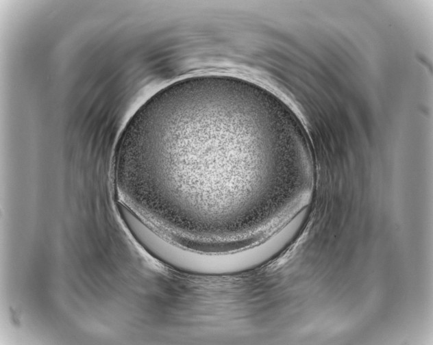 X0000098091533200804181222