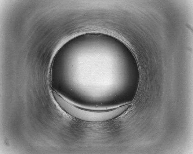 X0000098091536200804181222