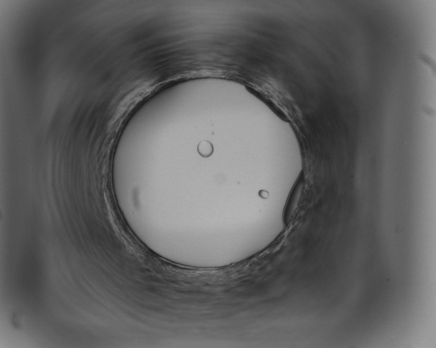 X0000098090001200804251306