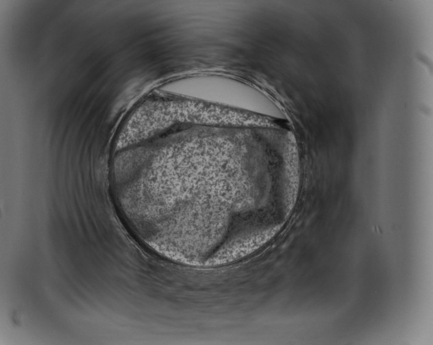 X0000098090002200804251306